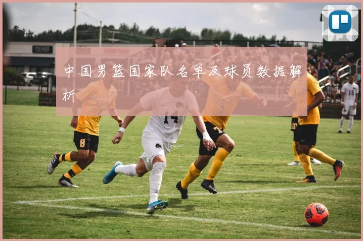 中国男篮国家队名单及球员数据解析